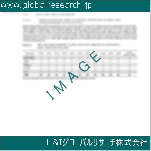 グローバルリサーチ調査資料のイメージ